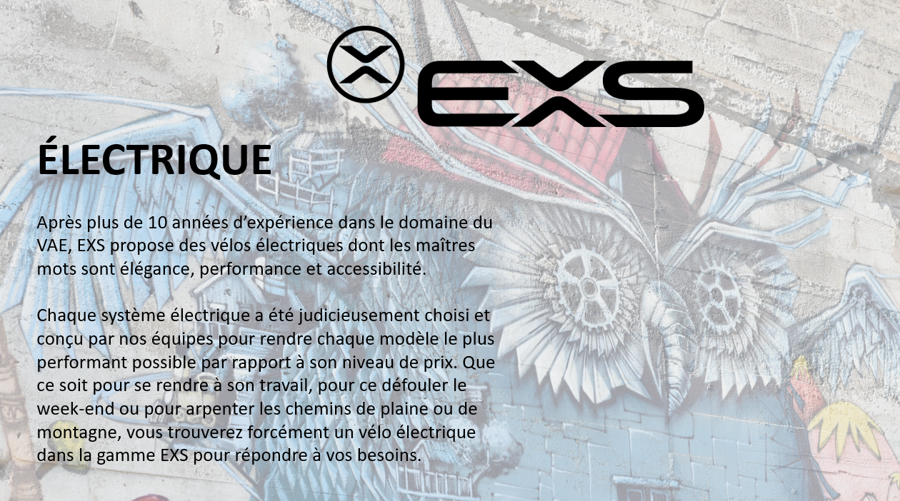 Velo electrique exs chantenay hot sale